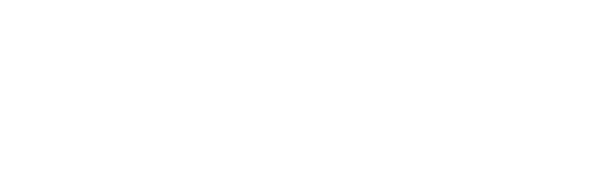 logo-magazine-luiza-2048